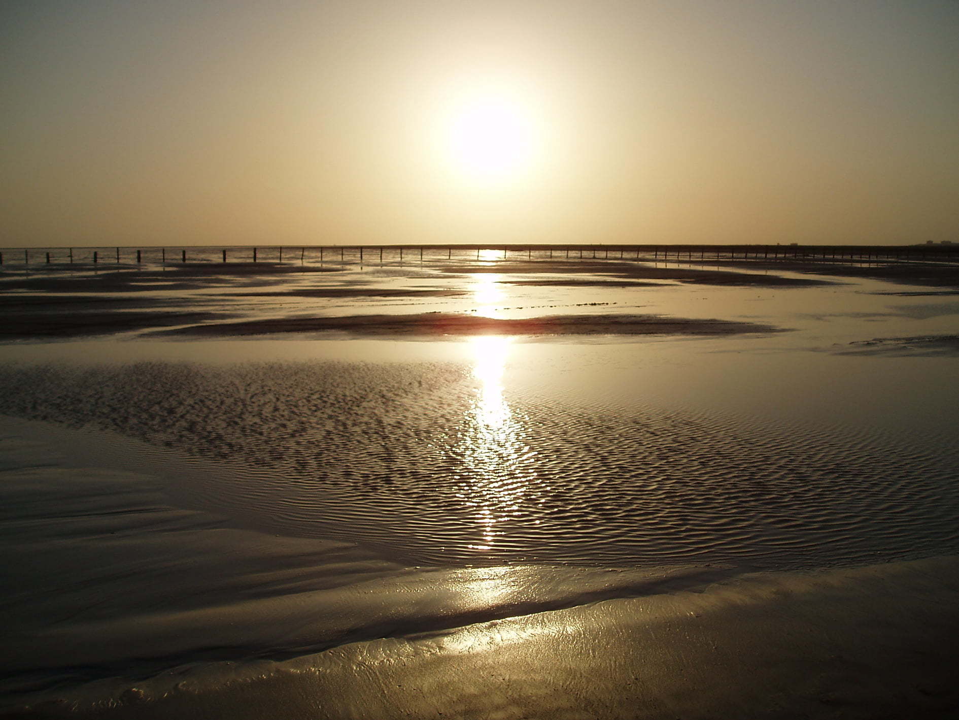 Waddenzee