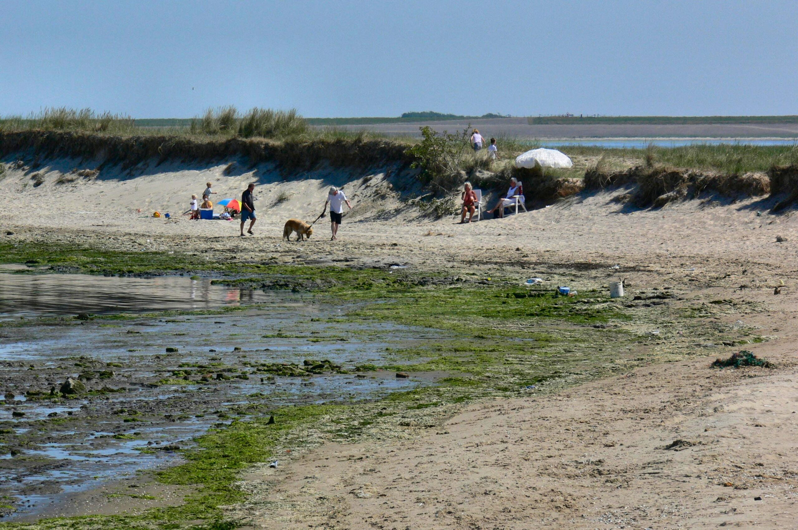 Waddenzee