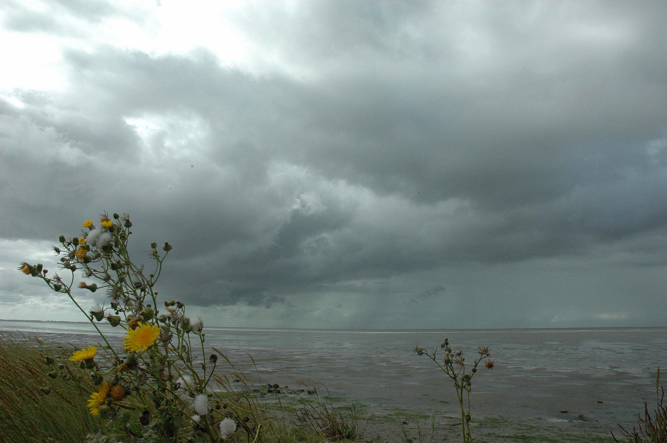 Waddenzee