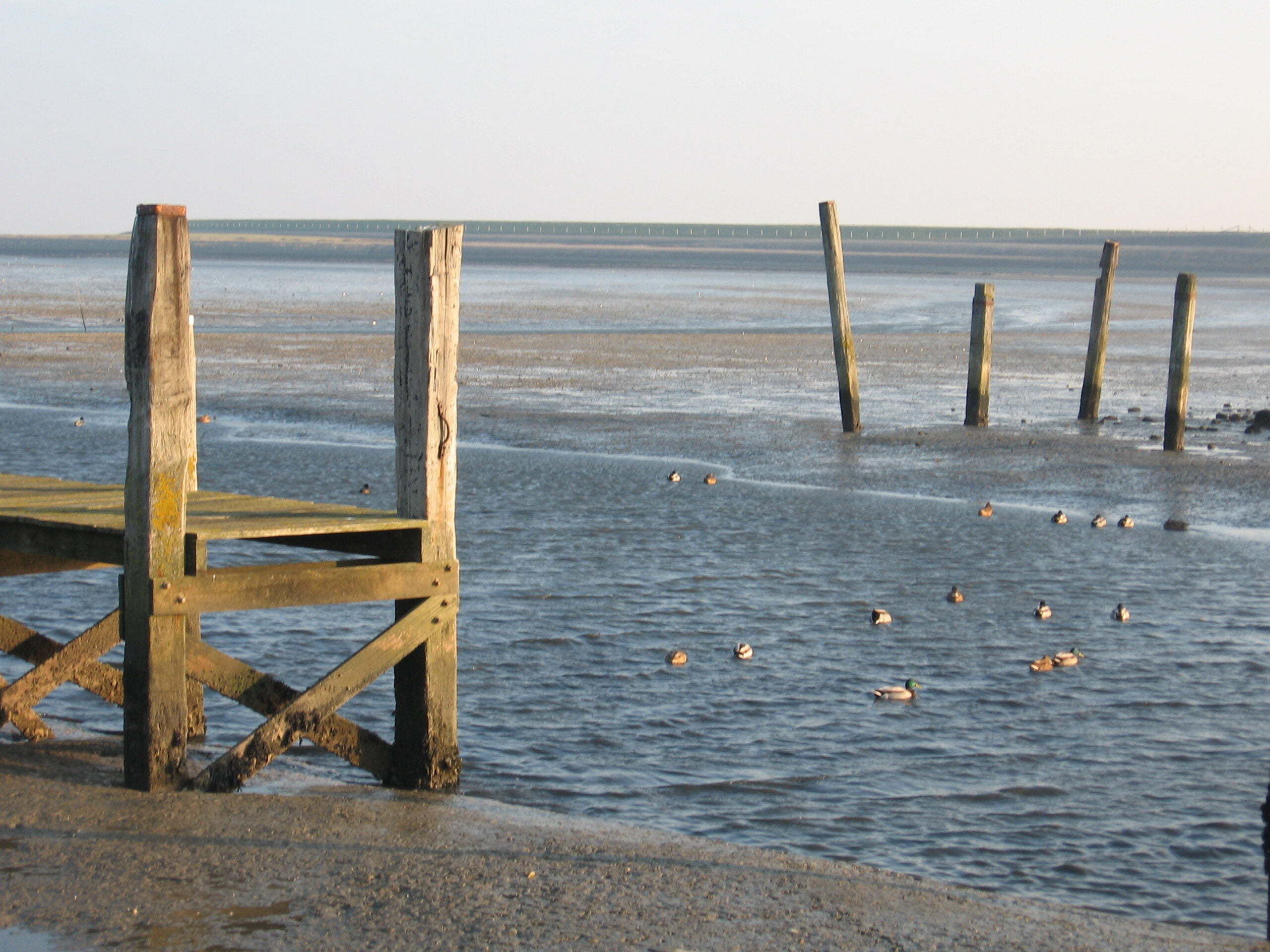 Waddenzee