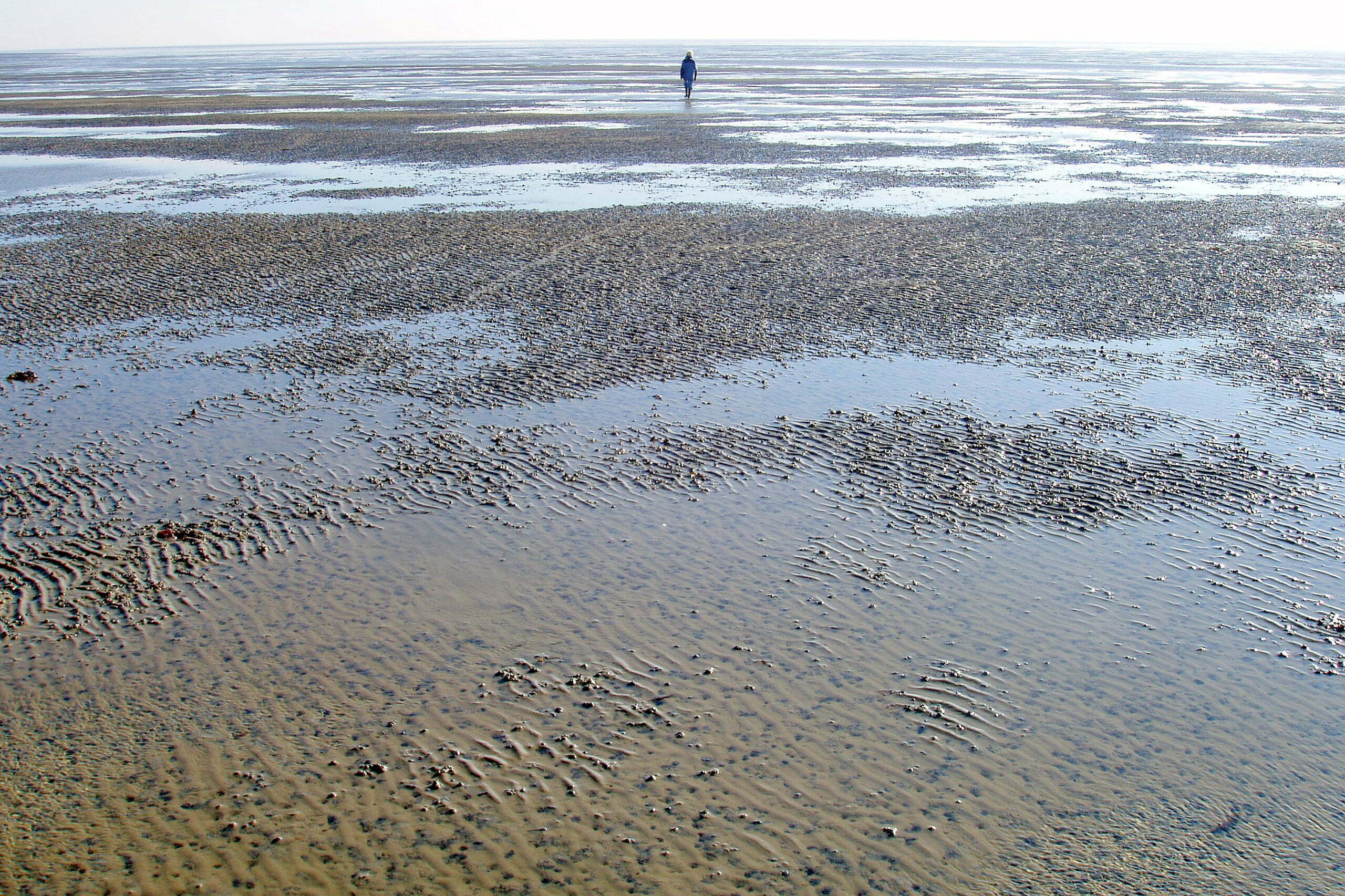 Waddenzee