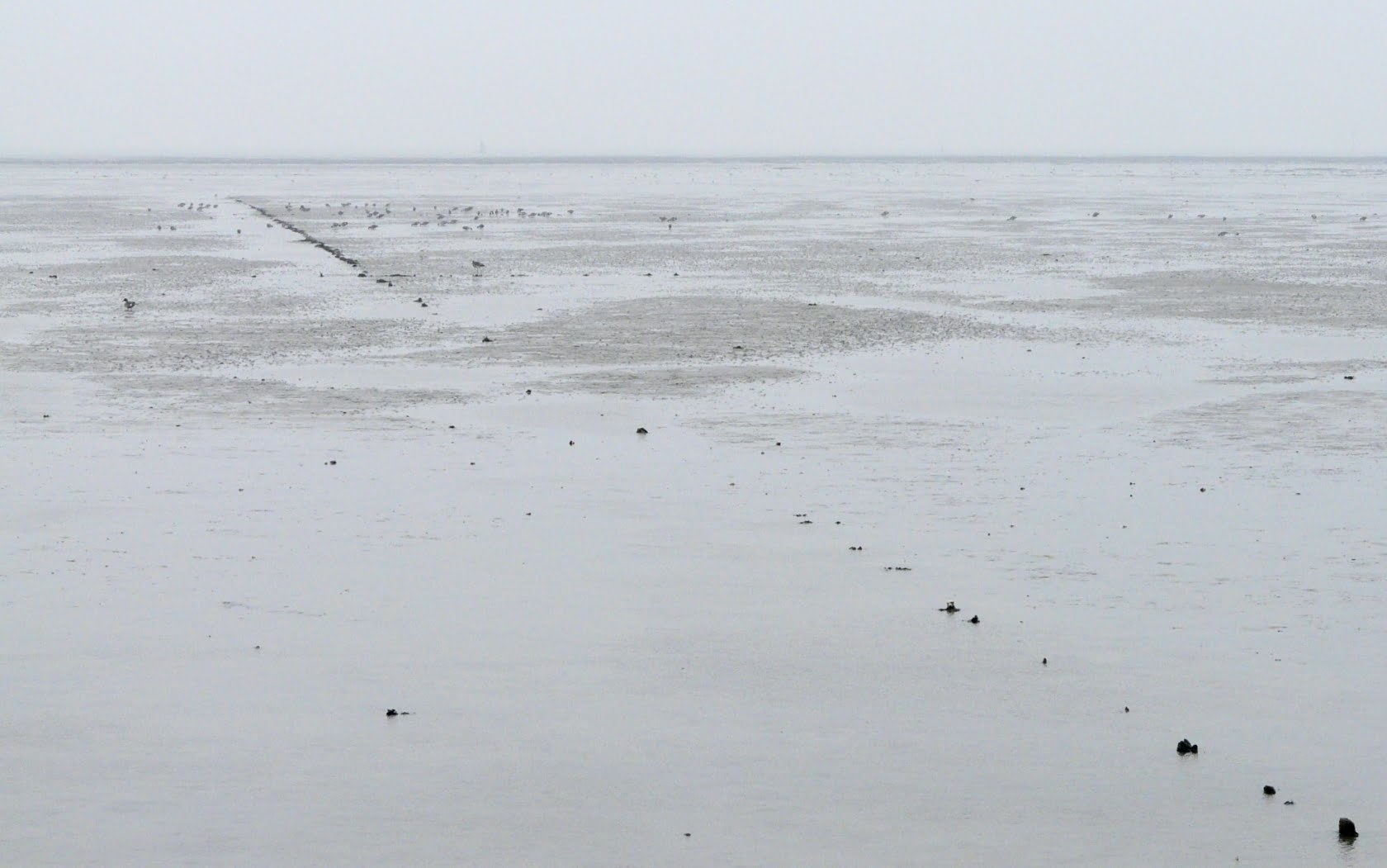Waddenzee